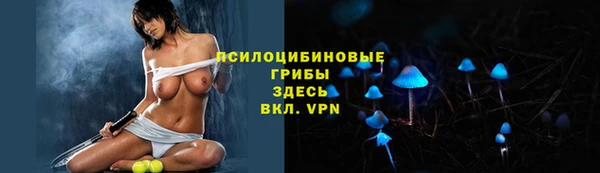 экстази Щучье