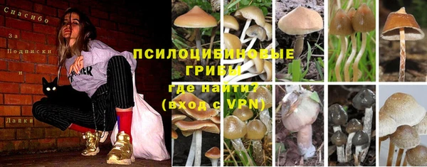 экстази Щучье